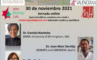 IV Workshop SEJI Jóvenes Investigadores de Excelencia: what is going on in diabetes research?