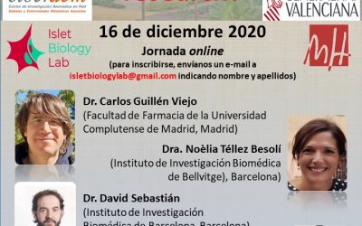 III Workshop SEJI Jóvenes Investigadores de Excelencia: what is going on in diabetes research?